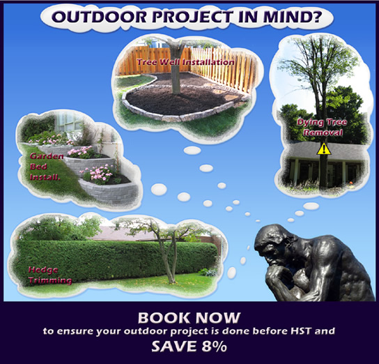 HST flyer